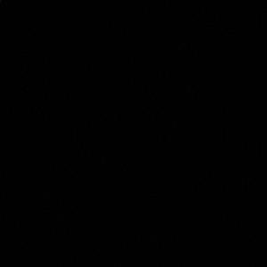 Meet your Posher, Smiley